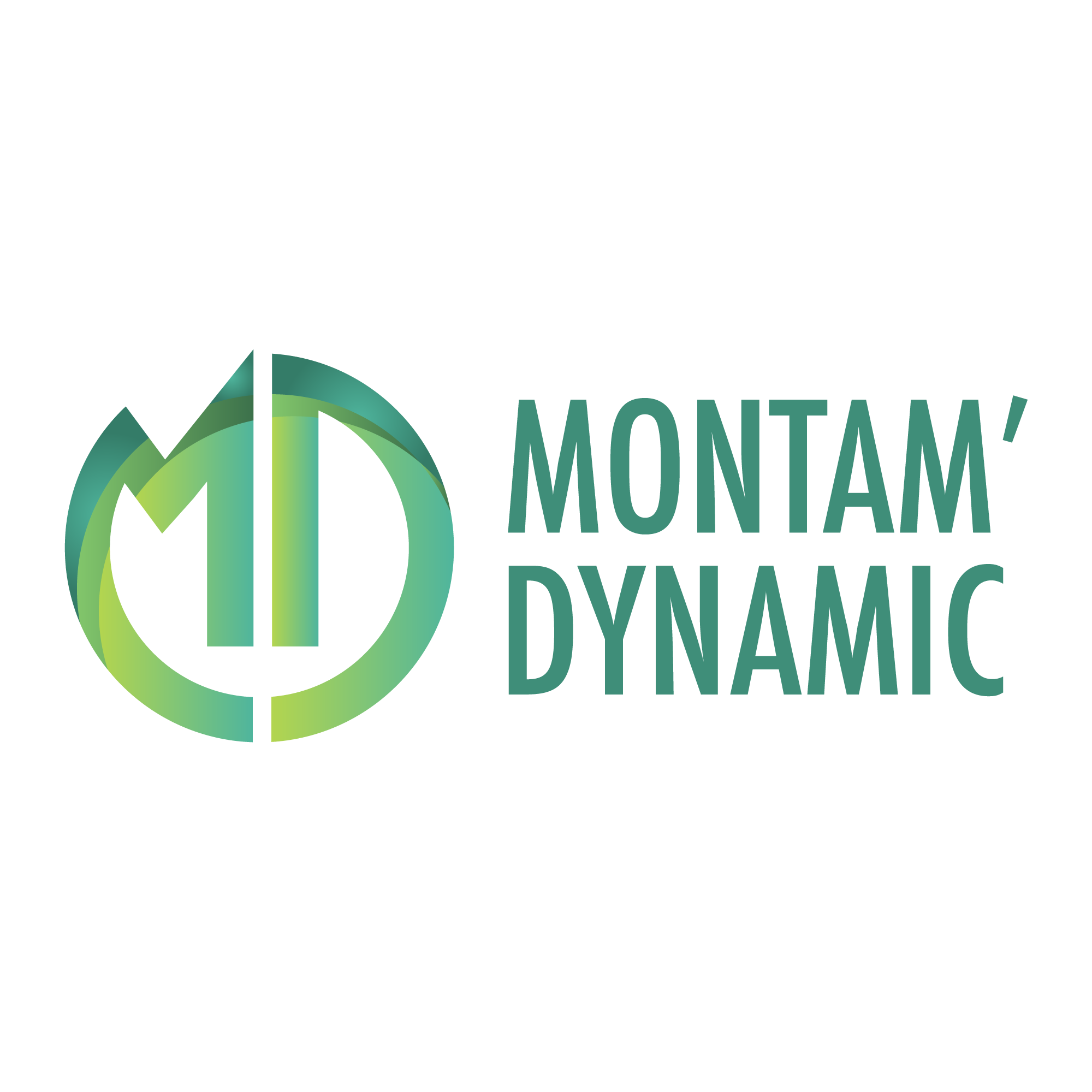 Montam Dynamic